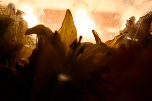 Media_httpmarchenstud_irqcd