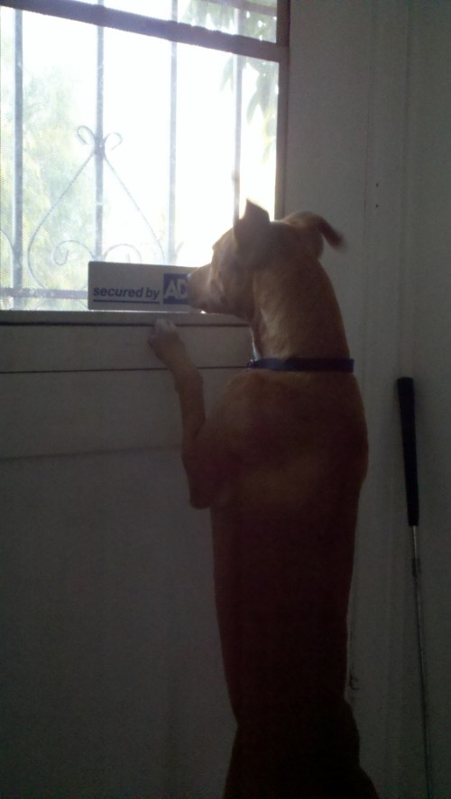 2010-12-16_16-15-32_547