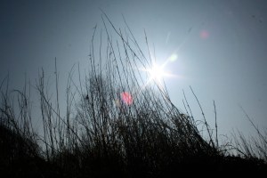 Img_1183